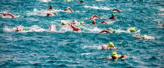 Open water swimmers competing for the first place